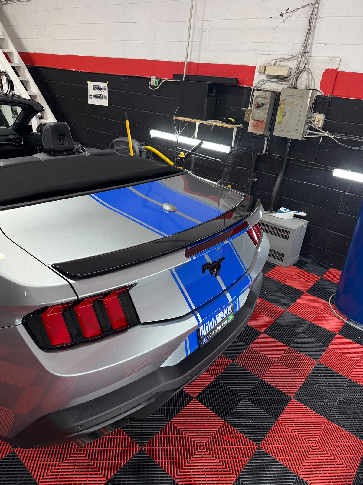 Rear Glass